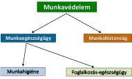 Foglalkozás-egészségügy Közreműködik a biztonságos és egészséget nem veszélyeztető munkakörnyezet létrehozásában és fenntartásában.