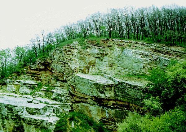 Réteg Az ülepedés, üledékképződés elemi egysége, üledékes kőzetekre jellemző Kivételek (zátony, lösz ) Később elrontják (bioturbáció, vízkiszökés ) Kb.