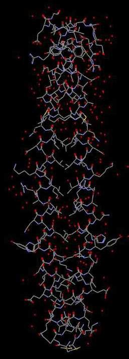 8 protofilamentum -> filamentum filamentum