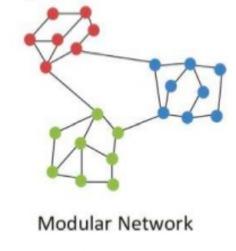 Hálózati topológia Modul: többé-kevésbé a gráfelméleti klaszternek felel meg. Gyakran funkcionális alrendszereket reprezentálnak, pl.