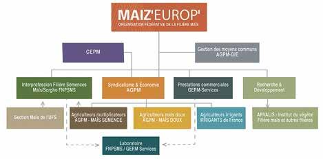A MAIZ EUROP szervezeti felépítése Országok, amelyek képviseltetik magukat a CEPM-ben: Németország, Bulgária, Spanyolország, Franciaország, Olaszország, Lengyelország, Portugália, Románia és