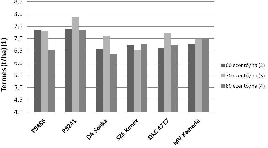 A hibridek és a tőszámok átlagában az N 80 +PK kezelést N 160 +PK-ra növelve a termés nem nőtt, hanem 0,18 t/ha-ral csökkent, ami a virágzás, meg termékenyülés és a szemtelítődéskori vízhiánnyal ma