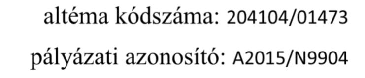 Szakmai beszámoló a 204104/01473. azonosító számú 2000 Szentendre Pátriárka utca 7.