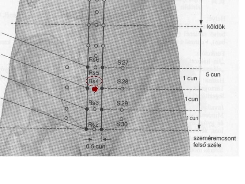 MENSTRUÁCIÓS FÁJDALMAK ELLEN 1. pont: Bef 4 a Befogadó meridiánon ( A képen Rs 4) Helye : Ez a hason található, kb.