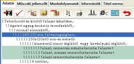 A tételváltozatok pedig egy külön listában jelennek meg. A struktúra tételek színe fehér háttérrel jelenik meg és minden tétel végén egy kötőjel jelzi, hogy a tétel folytatódik.