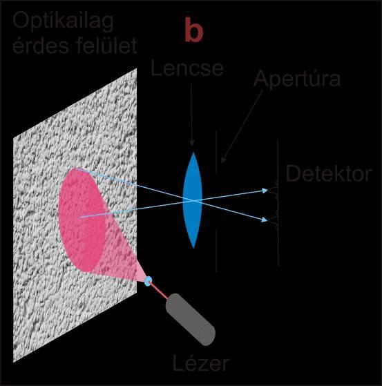 A jelenség neve objektív speckle, mivel a fent felsoroltakon kívül más tényezők nem befolyásolják a kialakuló mintázatot.