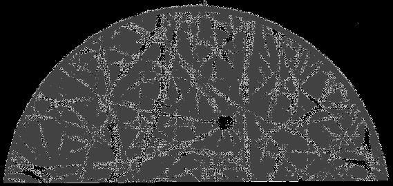 SZAKIRODALMI ÁTTEKINTÉS Sikeres alkalmazásokat jósolnak a szén nanocsövek véletlen hálózatainak (Graner 2007).