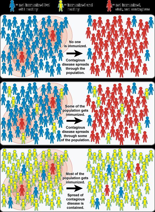 2. Epidemiológiai cél terjedés megakadályozása ( herd immunity - nyájimmunitás A VÉDŐOLTÁSOK CÉLJA