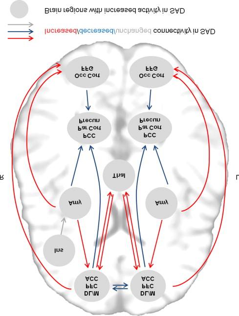 Abbreviations: DL/MPFC, Dorsolateral/Medial Prefrontal cortex; ACC, anterior cingulate cortex; Ins, insula; Amy, amygdala; Thal, thalamus; PCC, posterior