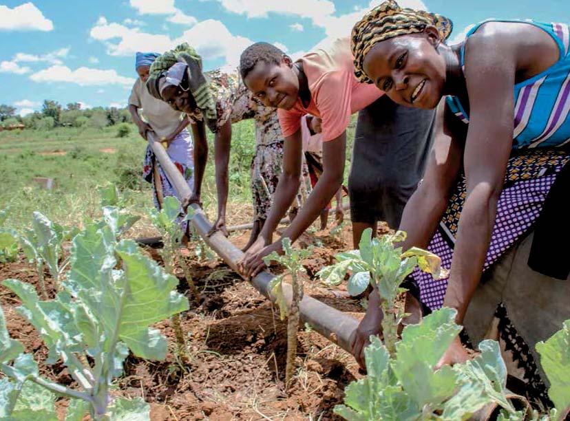 Az OASE támogatja a Kenyai