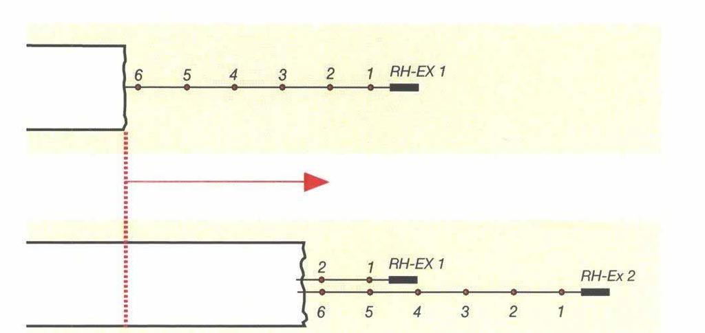 Horizontális extensométer ter (RH)