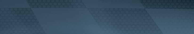 ORLEN PLATINUM