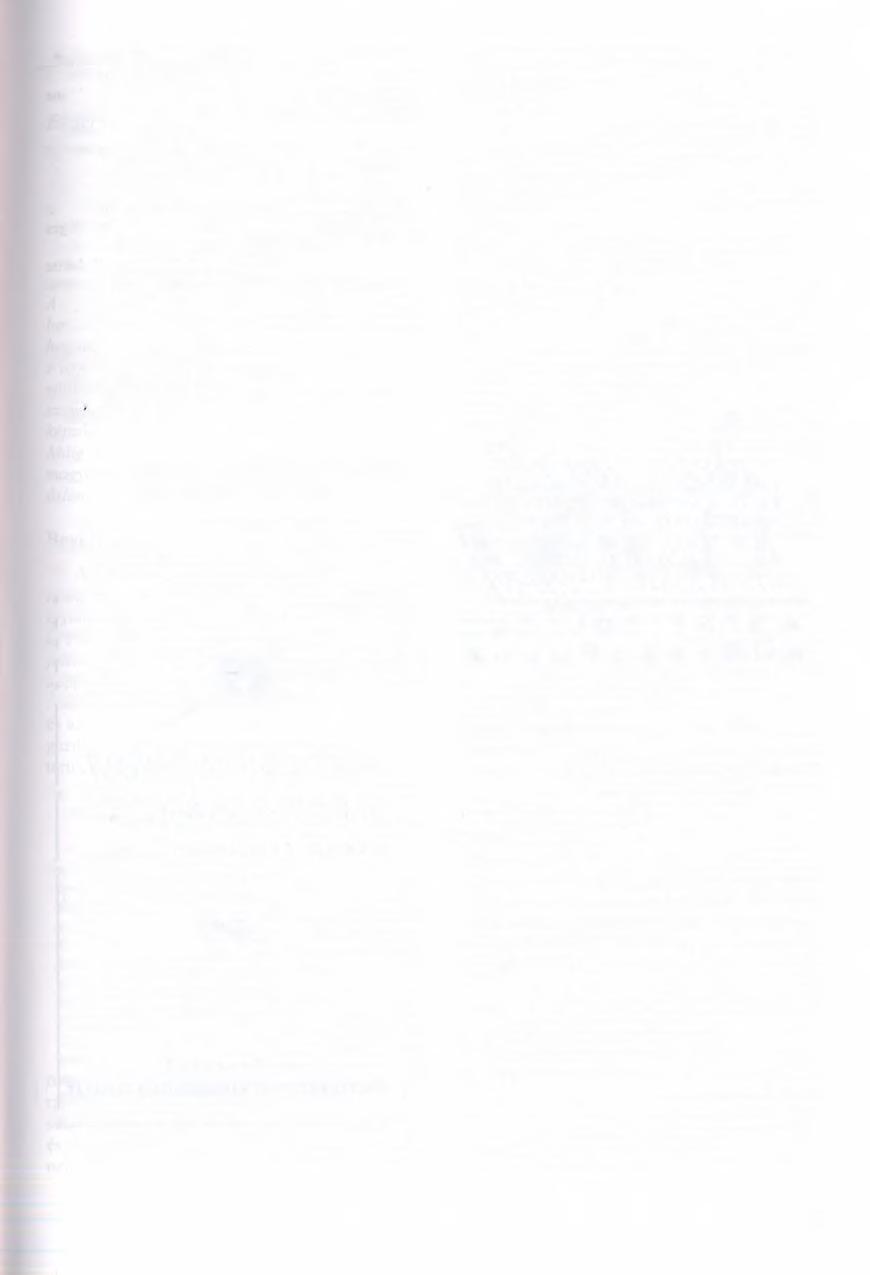 Székely K. M ezőgazda Kiadó, Budapest, pp. 307-308. VERESS, M. (1995): K arros foly am ato k és fo rm ák rendszerezése T otes G ebirge-i p éld ák alapján - K arsztfe jlő d és I.
