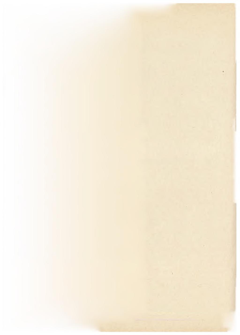 ' A '