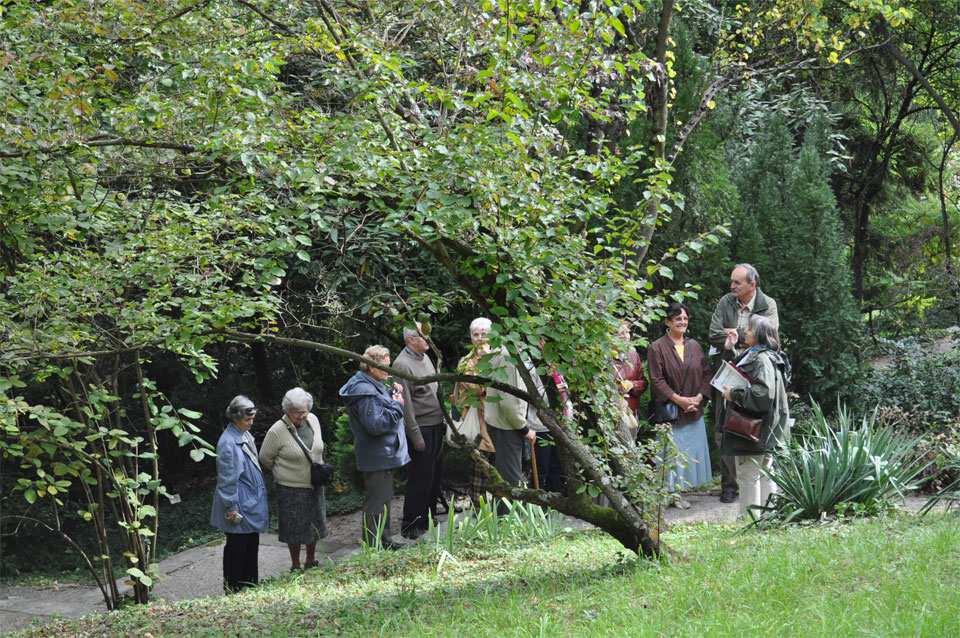 Idegenvezetések a Pintér-kertben az Idősek Világnapján Október elseje az Idősek Világnapja. A jeles nap alkalmából a Duna-Dráva Nemzeti Park Igazgatóság érdekes programot és kedvezményeket kínál.
