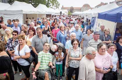 Nagy volt az igény a nőgyógyászati tanácsadás iránt, melyen közel háromszázan vettek részt. Ennél is népszerűbb volt a vérnyomásmérés, melyre mintegy hatszázan jelentkeztek.