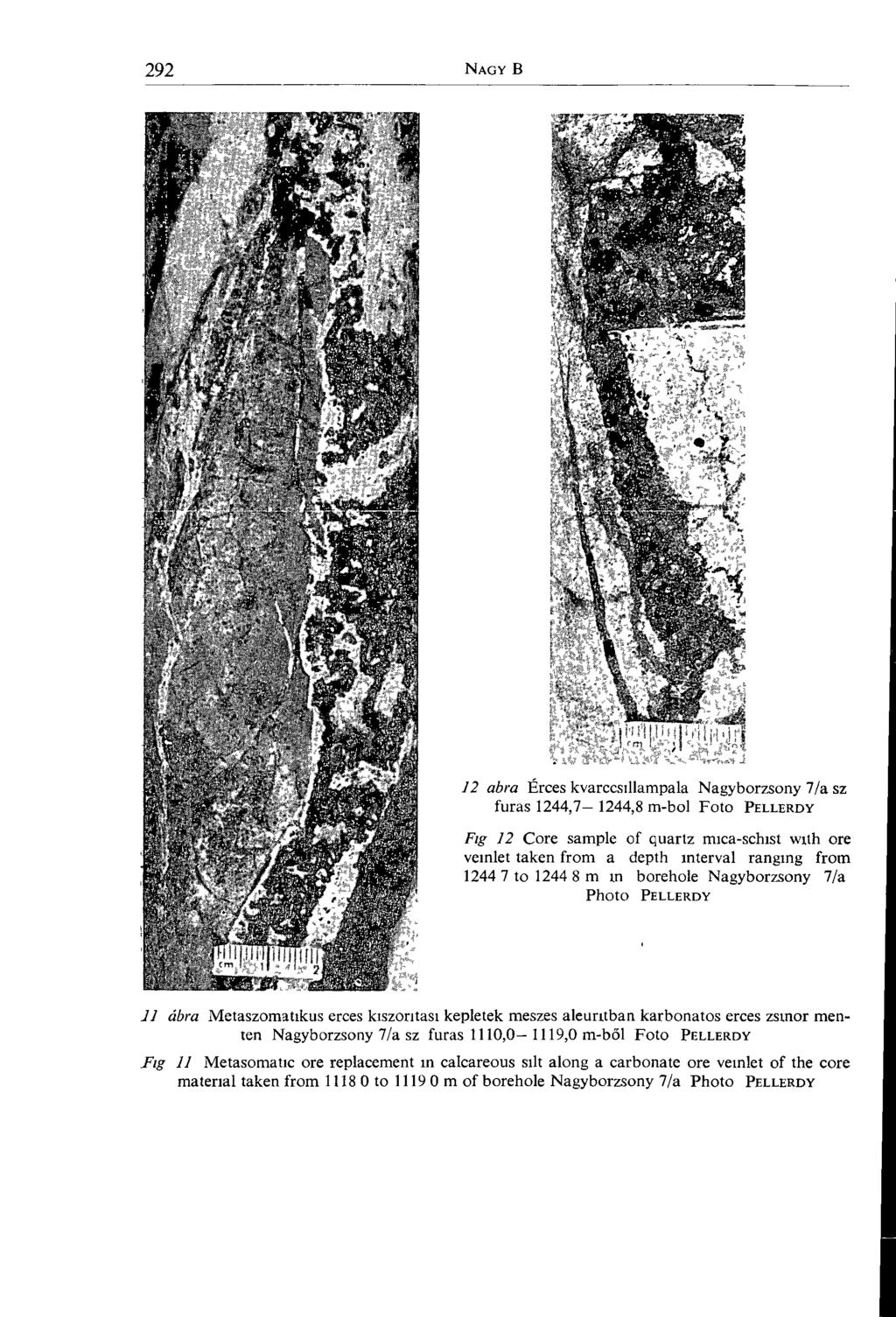 12 abra Érces kvarccsillampala Nagybörzsöny 7/a sz fúrás 1244,7 1244,8 m-bol Foto P ellerd y Fig 12 Core sample of quartz mica-schist with ore verniet taken from a depth interval ranging from 1244 7