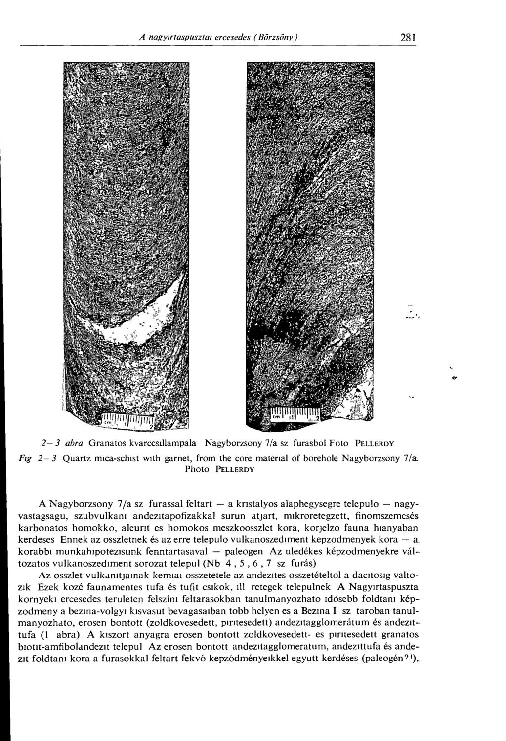 2 3 abra Gránátos kvarccsillampala Nagybörzsöny 7/a sz fúrásból Foto P e l l e r d y Fig 2 3 Quartz mica-schist with garnet, from the core material of borehole Nagybörzsöny 7/a.