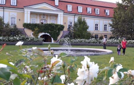 A faluban áll, a Petőfi versből ismert Pató Pál szobra, illetve sírja a temetőben tekinthető meg. A XX.