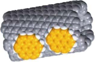 A nanotartályok másik fontos felhasználási területe a bezárt molekulák (például gyógyszerek) szállítása lehet.
