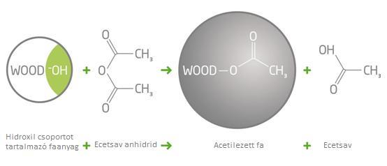 A faanyag nagy mennyiségben tartalmaz kémiailag szabad hidroxil csoportokat (OH).