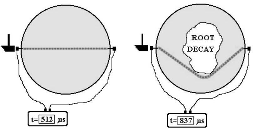 3.7.2.3 Hangsebességmérésen alapuló favizsgálati eljárások A rostra merőlegesen elvégzett hangsebesség mérés minden olyan hibát képes kimutatni, ami megváltoztatja a hang terjedési útvonalát.