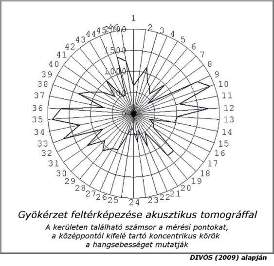 3.8 A fa gyökérzetének műszeres vizsgálatai 170 VIZUÁLIS ÉS MŰSZERES FAVIZSGÁLATI ÚTMUTATÓ 3.8.1 Akkusztikus tomográffal végzett gyökérzet feltérképezés A műszer működési elve azonos a fa felszíni részeinek akusztikus tomográfos vizsgálatával.