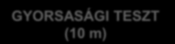 GYORSASÁGI