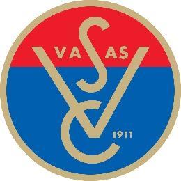 utánpótlás (U17) labdarúgó