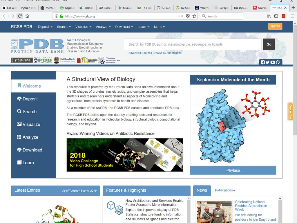 Bioinformatika és