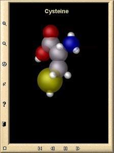 glicin cisztein (space