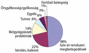 tenzíves, a mentő és a traumatológus szakorvosokat kérték fel. Az assistance és az asszisztőr kifejezés új fogalompár a magyar orvosi nyelvben, és e helyen ismertetésre szorul.