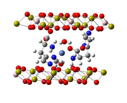 CaAl Ni(II)-ciszteinát LDH Ni(II)-hisztidinát CaAl-LDH Ni(II)-tirozinát CaAl-LDH 44.