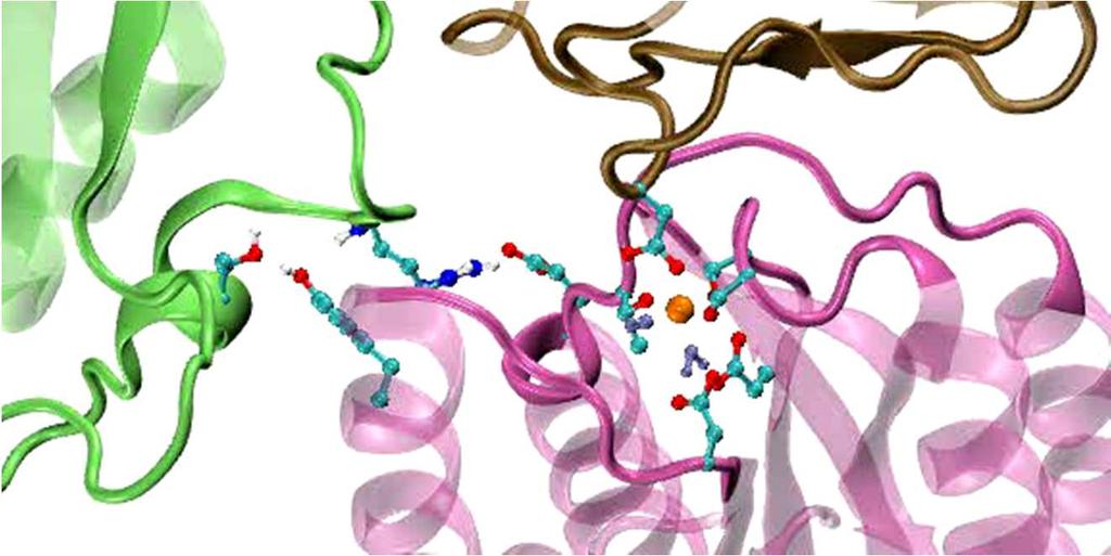 NIH Center for Macromolecular Modeling &