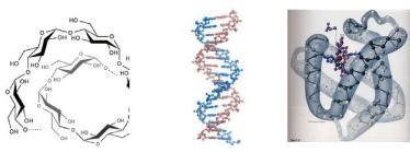 entrópia konstitúció - konfiguráció - konformáció Statisztikus