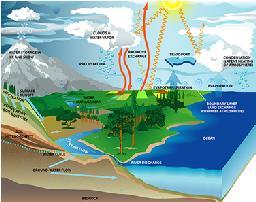 Víz hőkapacitása Q C T m T A folyékony víz hőkapacitása jóval nagyobb, mint a többi folyadéké, de nagyobb a szilárdtestek és a gázok hőkapacitásánál is.