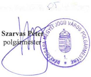 Békéscsabai Gyermekélelmezési Intézmény Békéscsabai Kulturális Ellátó Központ Békéscsabai Kistérségi Intézményellátó Központ Valamennyi intézmény pénzügyi-gazdasági ellenőrzése Osztály megnevezése