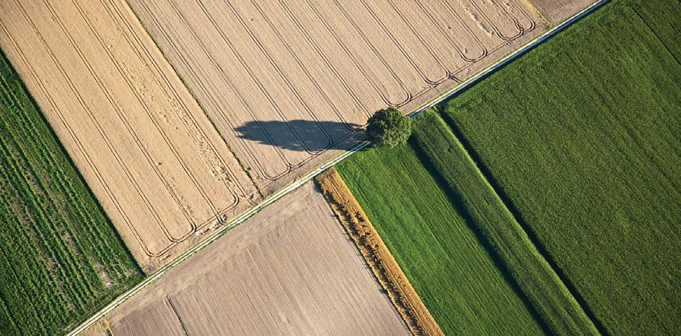 04 AGROTAX IRÁNYTŰ 2017 MÓDSZERTAN ÉS MEGJEGYZÉSEK A kiadvány készítése során a 2017-ben megkötött és kifüggesztett adásvételi szerződésekben szereplő mező- és erdőgazdasági hasznosítású földek