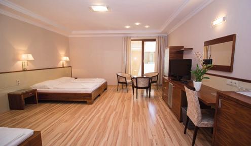 SZOBÁK Dabas szívében elhelyezkedő szállodánkban 41 kényelmes szoba