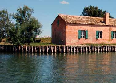14 Le Valli di Comacchio Zoet rivierwater, zout zeewater, dennen en bos overal, winden en getijden die in eeuwen de natuur vorm hebben gegeven: dit alles is Valli di Comacchio.