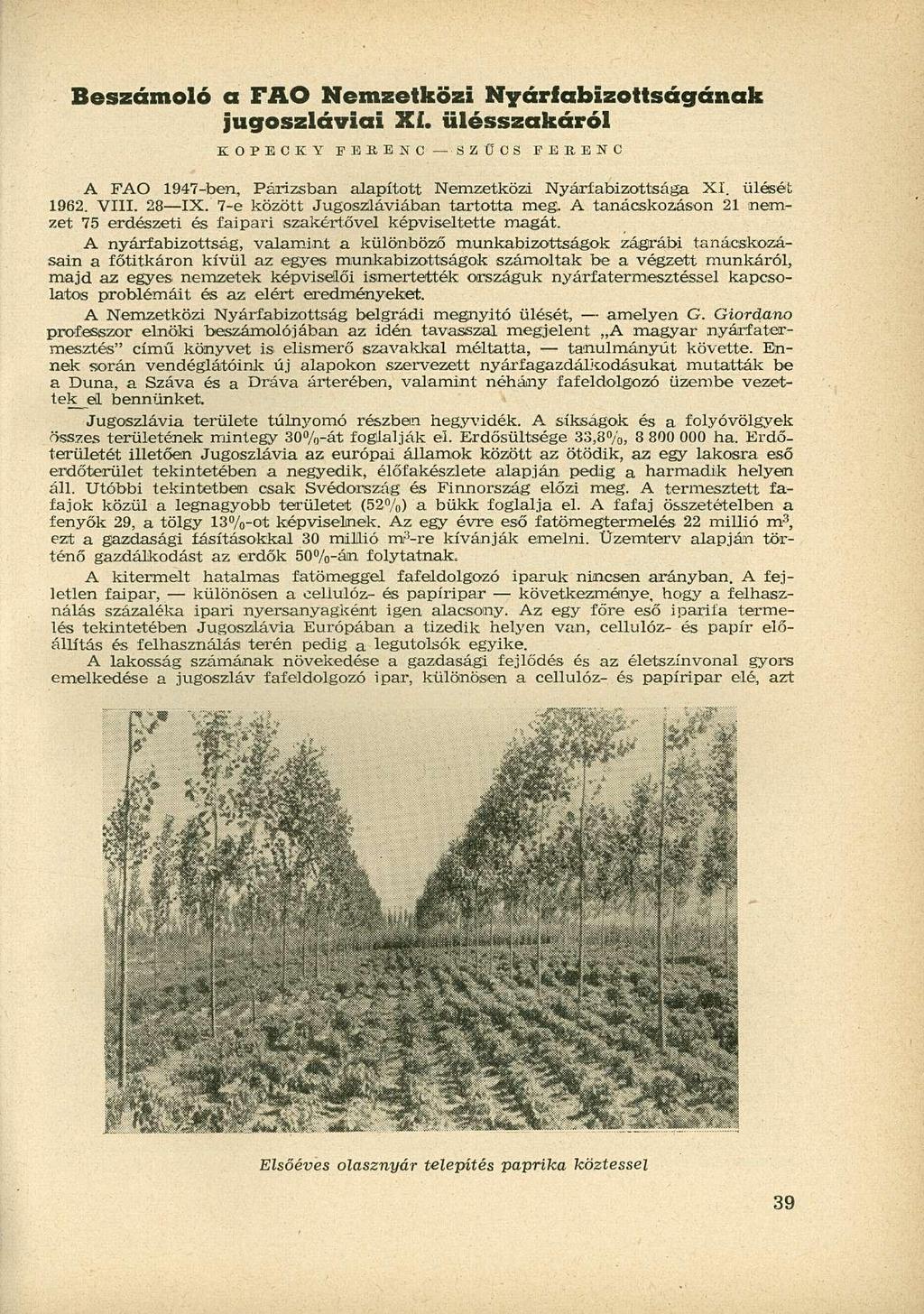 Beszámoló a FAO Nemzetközi Nyárfabizottságának jugoszláviai XI. ülésszakáról K O P E C K Y PERE N C SZŰCS FERENC A FAO 1947-ben, Párizsban alapított Nemzetközi Nyárfabizottsága XI. ülését 1962. VIII.