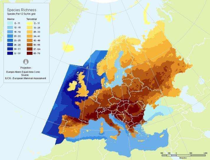 Biodiverzitás horizontális