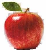 ÚJ Delan Pro 125 g/l di anon + 561 g/l kálium-foszfonátok A di anon ötven éve megbízható védelemet nyújt a varasodással szemben az almában és peronoszpóra ellen