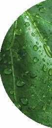 műtrágyacsalád Az Omex Agrofluids kifejeze en szuszpo-emulziós