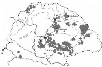 16. Úloha sa viaže k Uhorským dejinám 15. storočia. (dlhá) Na základe prameňov a vlastných vedomostí predstavte politickú životnú dráhu Jána Huňadiho, a hodnoťte jeho protiturecké boje!