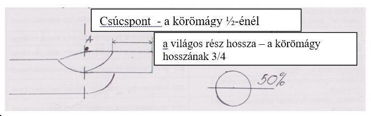 8. 3D fantázia műkörömdíszítés. Téma: A fehér és a fekete minden árnyalata. 9. Hétköznapi gél-lakk díszítés rövid körmökön. Kategóriák: Profi, Mester és Junior.. AIR Nails Airbrush technika a körmön.