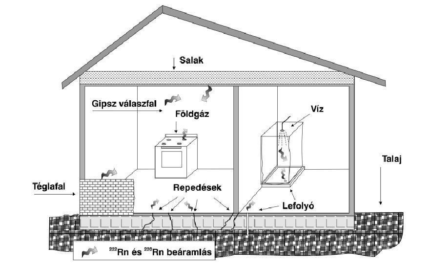 II.2-2. ábra: A radon épületbe jutásának lehetséges útvonalai [8] Az építőanyagon kívül a legjelentősebb forrás az altalajból történő feláramlás [42, 43].