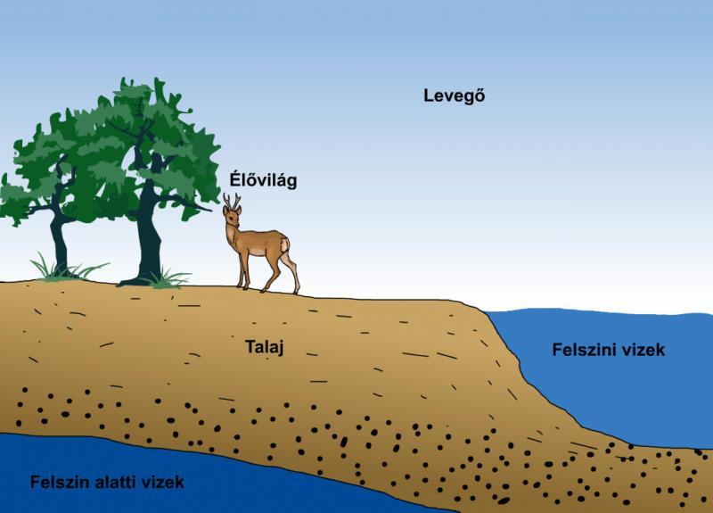 A környezet fogalma Környezet elemei a Föld élőlények által használt szférái (a