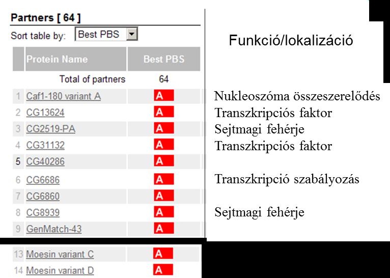 nukleoszóma összeszerelődéshez szükséges fehérjéket is (http://pim.hybrigenics.com).