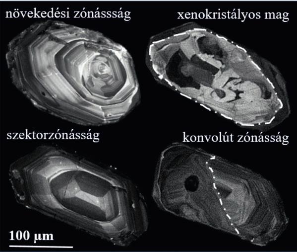 A vizsgált területen háromféle kőzettípus bukkan felszínre, melyek geokronológiai munkánk alapját is képezték: mikroklin-megakristályos granitoid, mafikus zárvány, illetve a kettő határán megjelenő